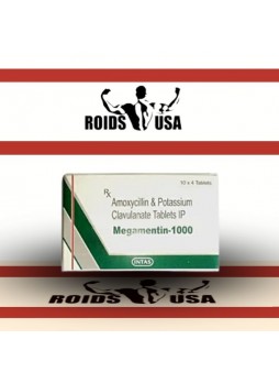 Megamentina 1000 Megamentina 1000